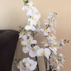 Meet your Posher, Eileen